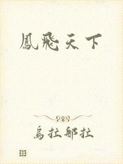 凤飞天下