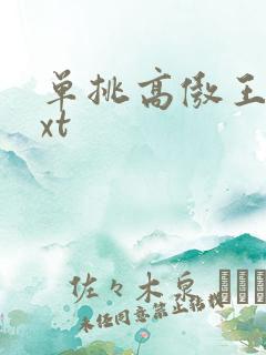 单挑高傲王子txt