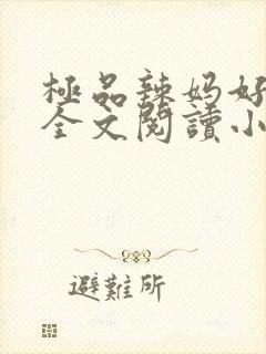 极品辣妈好v5全文阅读小说