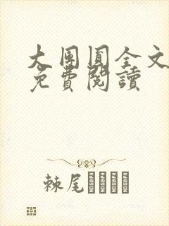 大团圆全文完整免费阅读