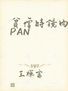 贫僧时镜肉补全PAN