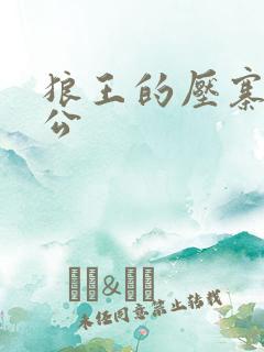 狼王的压寨小相公