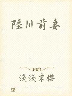陆川前妻