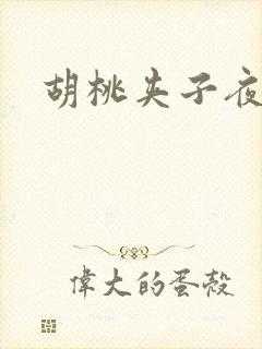 胡桃夹子夜未眠