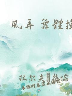 风弄 舞体投递