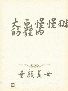 大龟慢慢挺进我的体内