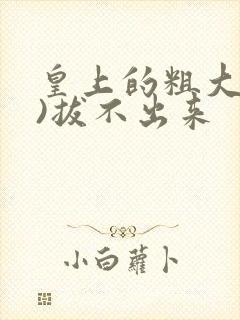 皇上的粗大(h)拔不出来