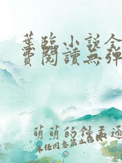 叶临小说全文免费阅读无弹窗