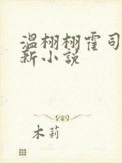 温栩栩霍司爵最新小说