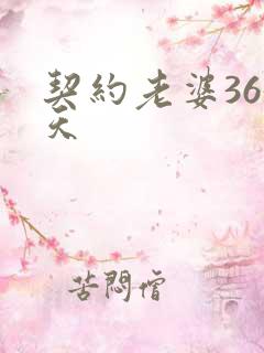 契约老婆365天