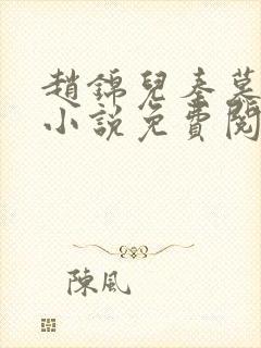 赵锦儿秦慕修的小说免费阅读全文