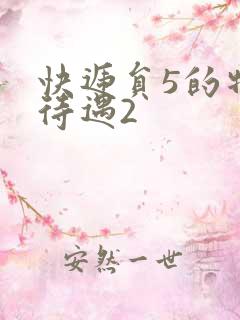 快递员5的特殊待遇2