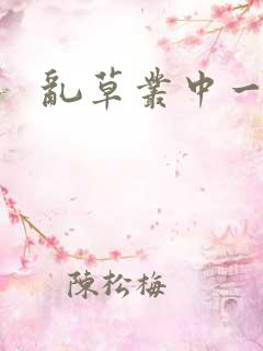 乱草丛中一杆枪