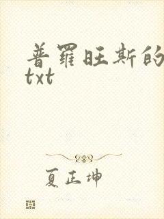 普罗旺斯的一年txt