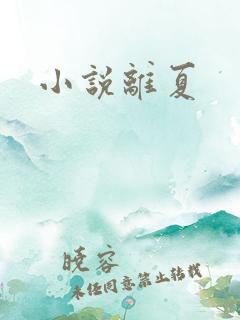 小说离夏