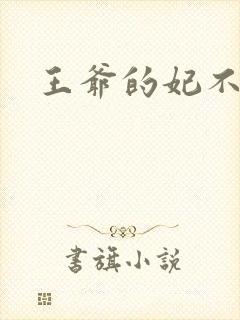 王爷的妃不是妃