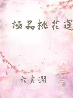 极品桃花运下载