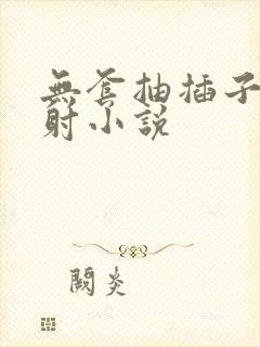 无套抽插子宫内射小说