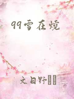 99雪在烧