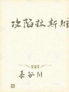 攻陷拉斯维加斯