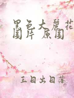 黑色大丽花真实图片 原图