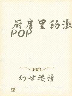 厨房里的激战2POP