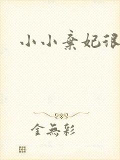 小小弃妃很倾城