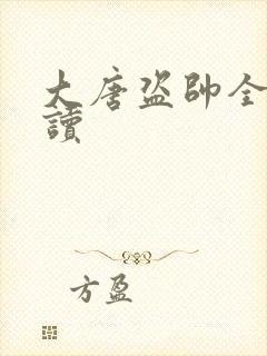 大唐盗帅全文阅读