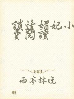 锁情媚妃小说免费阅读