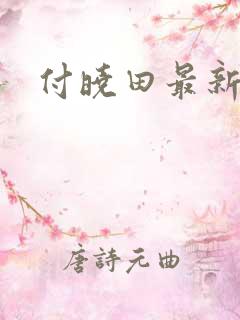 付晓田最新消息