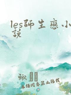 les师生恋小说