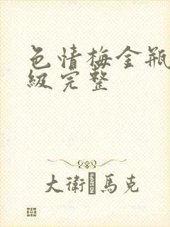 色情梅金瓶2三级完整