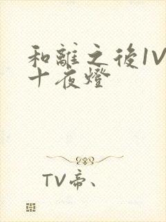 和离之后1V1十夜灯
