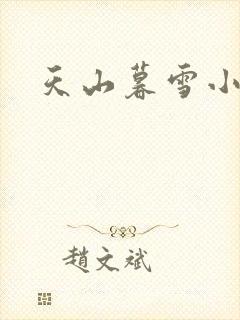 天山暮雪小说