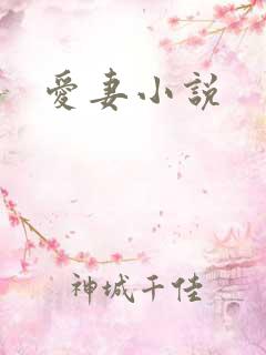 爱妻小说