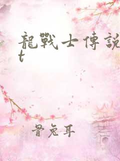 龙战士传说txt