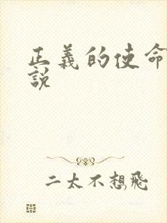 正义的使命 小说