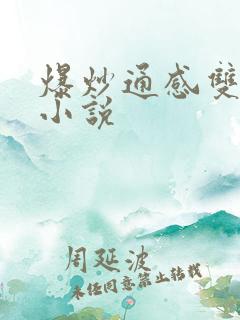 爆炒通感双胞胎小说