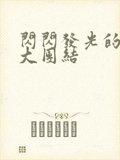 闪闪发光的小说大团结