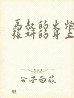 马叔的火炮顶在张妍的身上