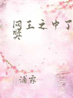 网王之中了特等奖