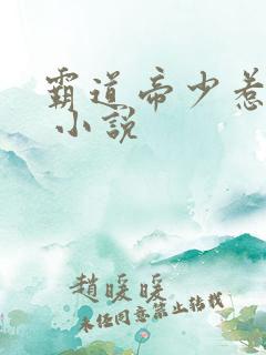 霸道帝少惹不得 小说