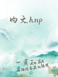 肉文hnp