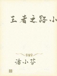 王者之路小说