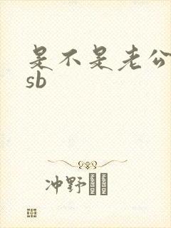 是不是老公的小sb