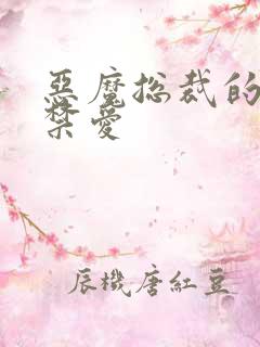 恶魔总裁的一夜禁爱