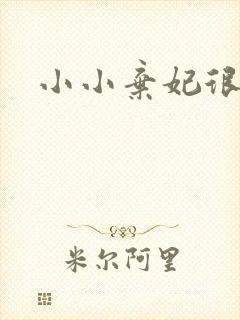 小小弃妃很倾城