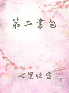 第二书包