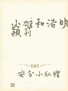 小雄和浩明夹击颖莉