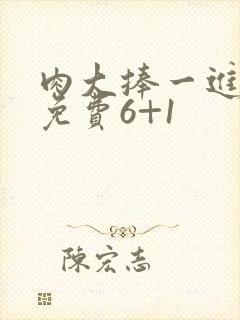 肉大捧一进一出免费6+1